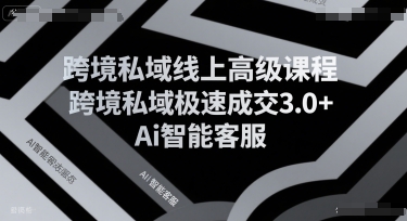跨境私域线上高级课程，跨境私域极速成交3.0+Ai智能客服-木白网创