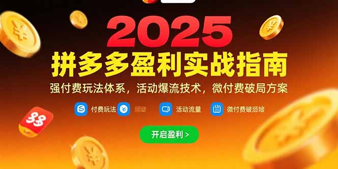 拼多多盈利实战指南，强付费玩法，活动爆流技术，微付费破局方案(更新7月-木白网创