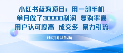 小红书蓝海项目，一部手机单月做了3W利润，小白也能月入过1W用户认可度高成交多-木白网创