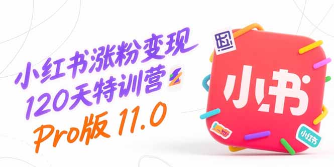 小红书涨粉变现120天特训营Pro版11.0：从0到1掌握平台运营,内容制作和变现-木白网创