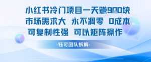 小红书冷门项目一天收益9张，市场需求大，0成本，可复制性强可以矩阵操作-木白网创