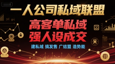 一人公司私域联盟，高客单私域，强人设成交，建私域 搞发售 广结盟 造势能-木白网创