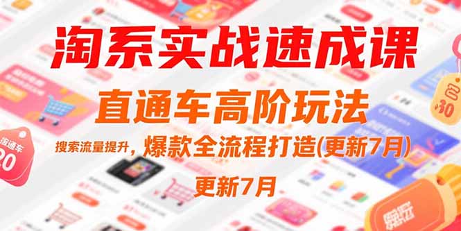 淘系实战速成课，直通车高阶玩法，搜索流量提升，爆款全流程打造(更新7月-木白网创