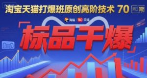 淘宝天猫打爆班原创高阶技术第70期：标品干爆-木白网创