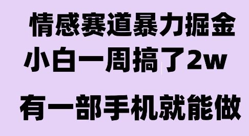 情感暴力掘金项目，新人操作一周挣了2W，长期稳定小白可做【揭秘】-木白网创