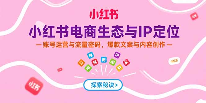小红书电商生态与IP定位，账号运营与流量密码，爆款文案与内容创作-木白网创