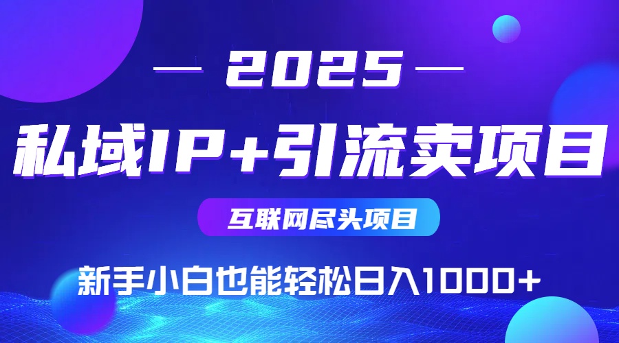 2025网创尽头项目，私域IP+引流，新手小白也能在家日入1000+-木白网创