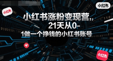 小红书涨粉变现营，21天从0-1做一个挣钱的小红书账号-木白网创