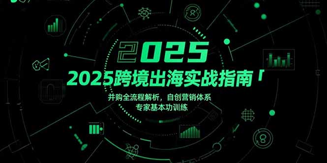 2025跨境出海实战指南，并购全流程解析，自创营销体系，专家基本功训练-木白网创