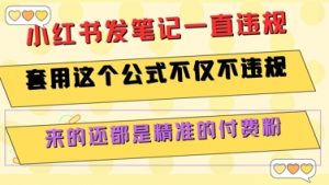 小红书发笔记一直违规，套用这个公式不仅不违规，来的还都是精准的付费粉-木白网创