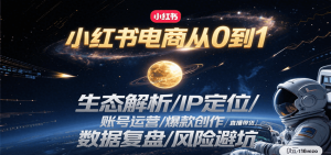 小红书电商从0到1:生态解析/IP定位/ 账号运营/爆款创作/直播带货/数据复盘/风险避坑-木白网创