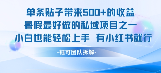 单条贴子带来5张的收益，暑假最好做的私域项目之一，小白也能轻松上手，有小红书就行-木白网创