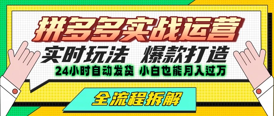 拼多多最新实战运营高投产：长久稳定项目，单店利润一天三位数-木白网创