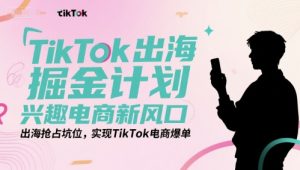 TikTok出海掘金计划，兴趣电商新风口，出海抢占坑位，实现TikTok电商爆单-木白网创