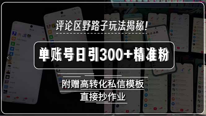 评论区野路子玩法揭秘！单账号日引300+精准粉，附赠高转化私信模板，直…-木白网创