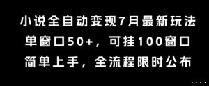 小说全自动变现7月玩法，单窗口50+，可挂100窗口，简单上手，全流程限时公布【揭秘】-木白网创