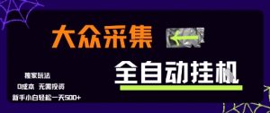 大众采集全自动玩法，新手小白轻松一天5张+，操作简单零成本【揭秘】-木白网创