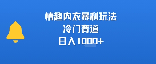 情趣内衣暴利玩法，冷门赛道，日入1k+-木白网创