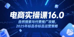 淘宝电商运营课16.0，自然搜索与付费推广攻略，2025年标品非标品运营策略-木白网创
