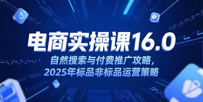 淘宝电商运营课16.0，自然搜索与付费推广攻略，2025年标品非标品运营策略-木白网创