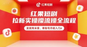 红果短剧拉新实操全流程，发就有米拿，单账号月收入几k-木白网创