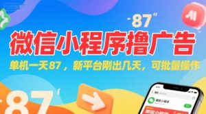 微信小程序看广告，单机一天87，新平台刚出几天，可批量操作，日入5张-木白网创