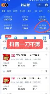 抖音短视频一刀不剪带货，不剪辑，不直播，每天发个视频，等着出单获取带货佣金-木白网创