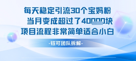 每天稳定引流30个人 当月变成超过了4个W项目流程非常简单适合小白-木白网创