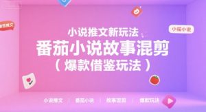 小说推文新玩法，番茄小说故事混剪(爆款借鉴玩法)-木白网创