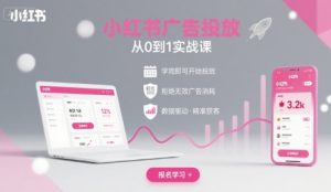 小红书广告投放从0到1的实战课，学完即可开始投放，拒绝无效广告消耗-木白网创