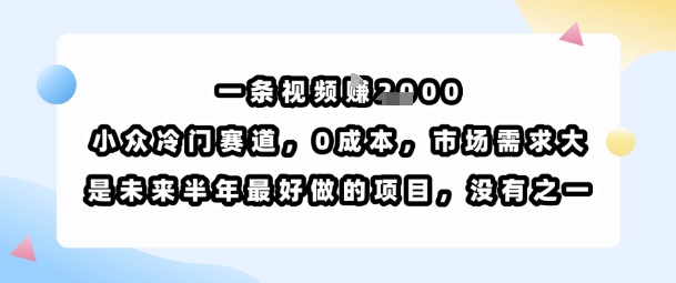 一条视频挣1k，小众冷门赛道，0成本，市场需求大，是未来半年最好做的项目，没有之一-木白网创
