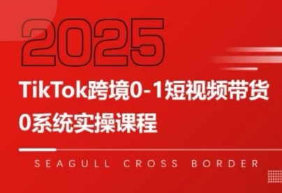 大亿老师·TikTok跨境0-1短视频带货-木白网创