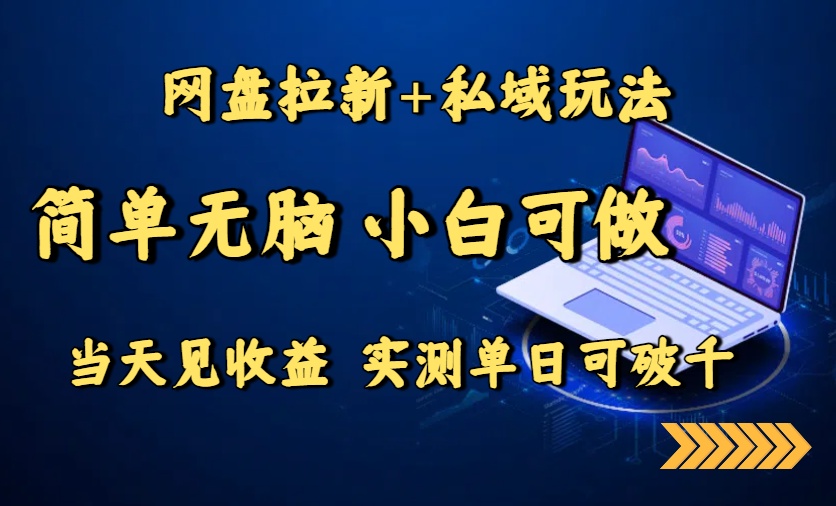 网盘拉新+私域玩法，简单无脑，小白可做，当天见收益，实测单日可破千-木白网创
