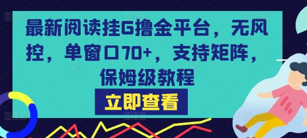 最新阅读挂G撸金平台，无风控，单窗口70+，支持矩阵，保姆级教程【揭秘】-木白网创