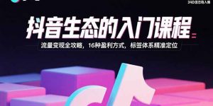 抖音生态的入门课程：流量变现全攻略，16种盈利方式，标签体系精准定位-木白网创