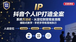 抖音个人IP系统落地实操大课，实操课程，辅助落地-木白网创