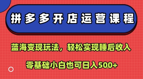 拼多多开店运营课程：蓝海变现玩法，轻松实现睡后收入，零基础小白也可日入5张-木白网创