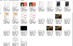 『高端精品』最新公主号无水印下载工具，图片 视频 音频 无脑小白一键下载-木白网创