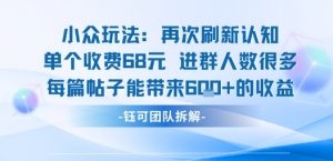 小众玩法再次刷新认知单个收费68米进群人数很多每篇帖子能带来6张的收益-木白网创