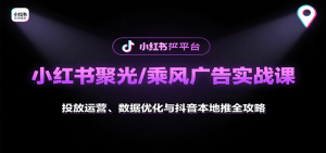 小红书聚光/乘风广告实战课：投放运营、数据优化与抖音本地推全攻略-木白网创