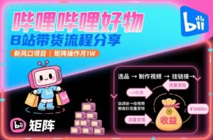 哔哩哔哩好物,B站带货流程分享,新风口项目,矩阵操作月1W-木白网创