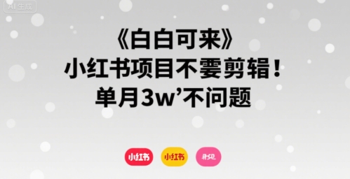 小白可来 小红书项目不需要剪辑 单月3w不是问题-木白网创