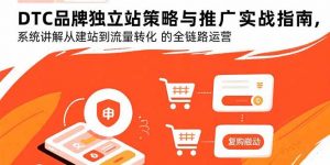 DTC品牌独立站策略与推广实战指南，系统讲解从建站到流量转化的全链路运营-木白网创