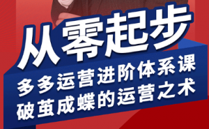 海神·拼多多运营进阶系统课(更新8月)-木白网创