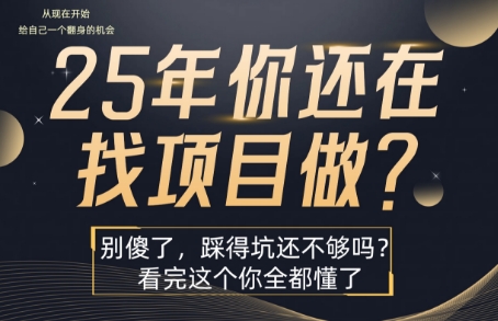 25年，你还在疯狂的找项目吗？别傻了，看完这个你都懂了【揭秘】-木白网创