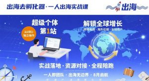 出海去孵化器，一人出海实战课，​超级个体第1站，解锁全球增长-木白网创