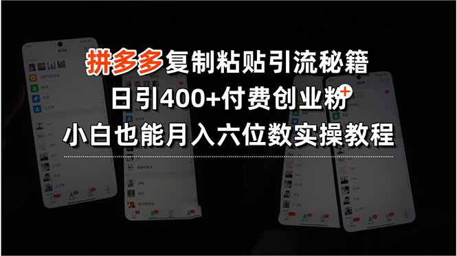 拼多多复制粘贴引流秘籍，日引400+付费创业粉，小白也能月入六位数实操…-木白网创