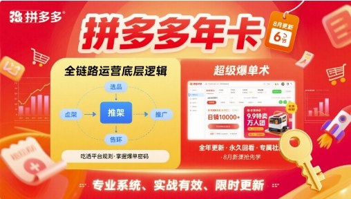 拼多多年卡【8月更新6节】拼多多全链路运营底层逻辑，超级爆单术-木白网创