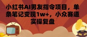 小红书AI男友指令项目，单条笔记变现1w+，小众赛道实操复盘-木白网创