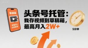 【头条号托管 】我存视频到草稿箱,你每天5分钟发布,最高月入2W+【揭秘】-木白网创